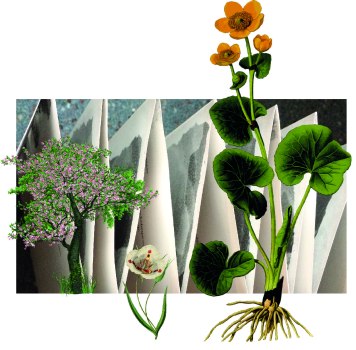 visuel stage leporello - Musartdit