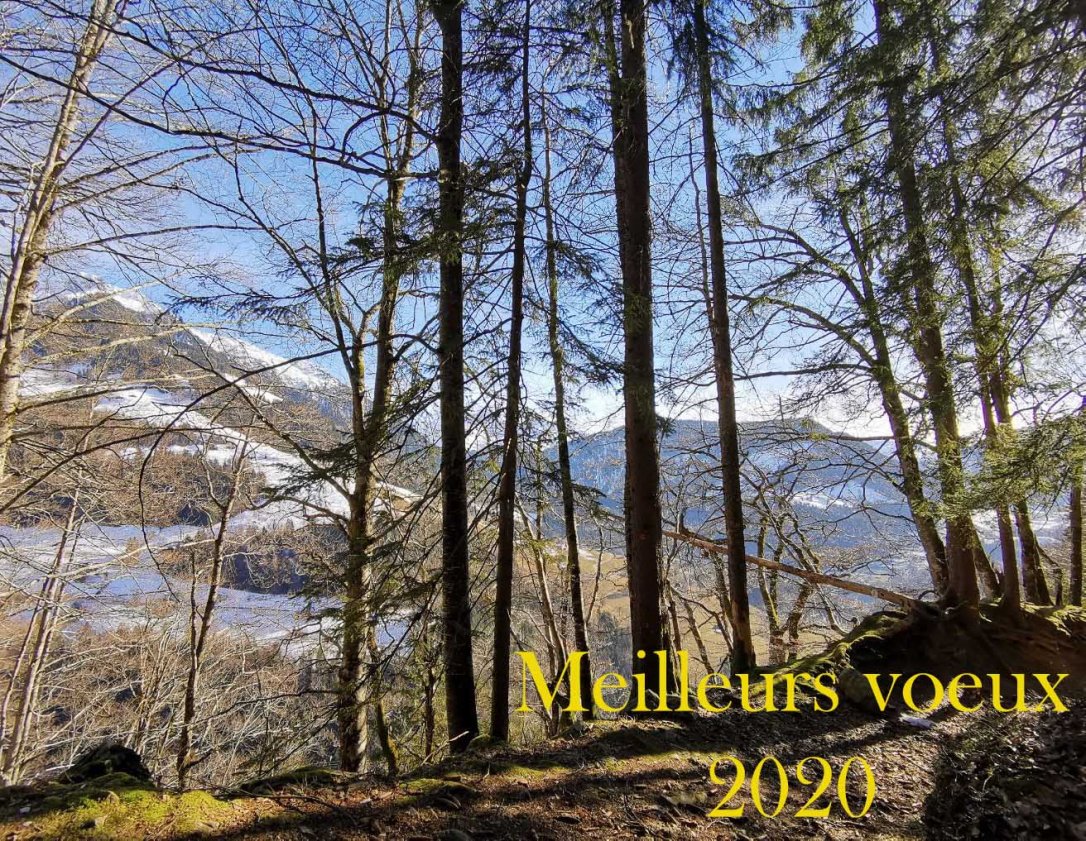 Voeux 2020 - Musartdit