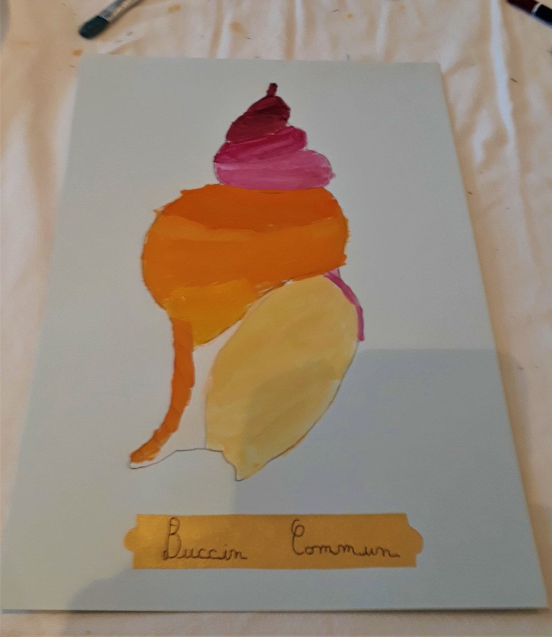 portrait de coquillage et crustacé - musartdit - OT ouistreham (22)