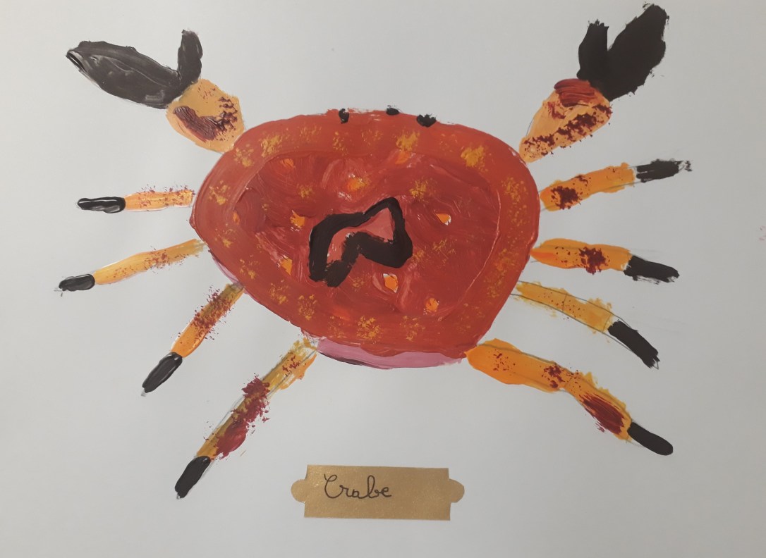 Portrait de crustacés -atelier jeune public - ouistreham - Côte de Nacre - Musartdit (8)